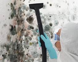 Best Real Estate Mold Inspection  in Randolph, WI